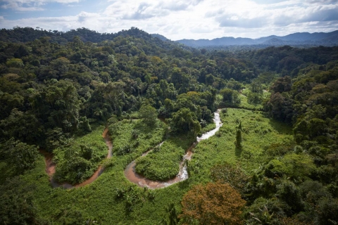 buendiario-Hallan-selva-Honduras-mitica-Ciudad-Blanca3